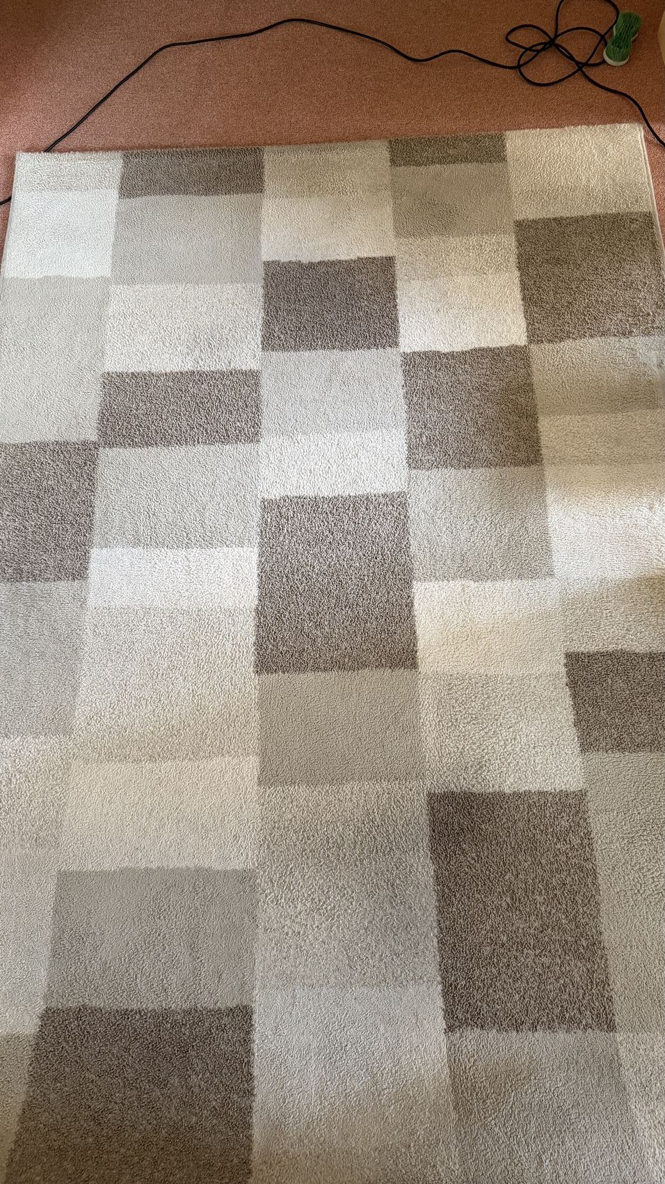 Avant : Nettoyage d’un tapis · chez un particulier